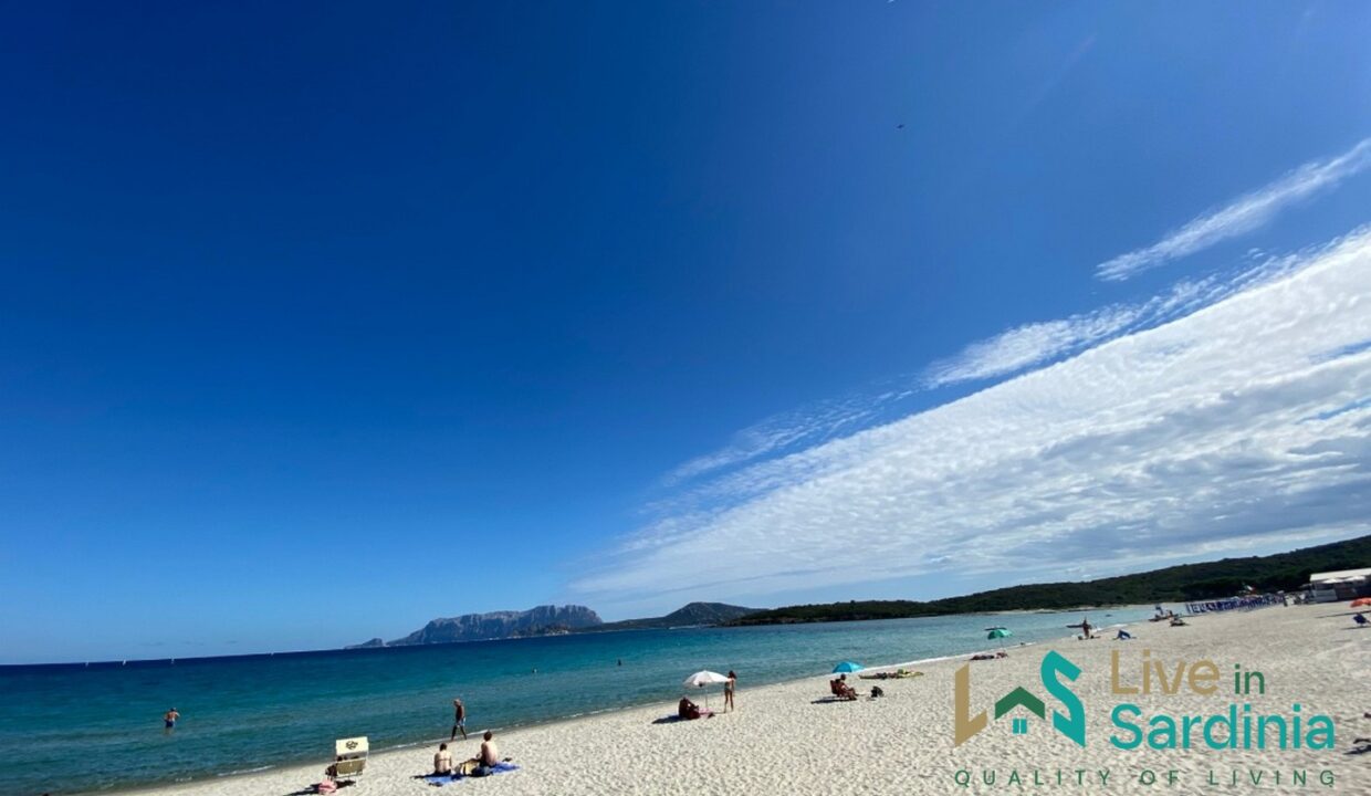 Apartment-For-Rent-In-Olbia-Sardinia