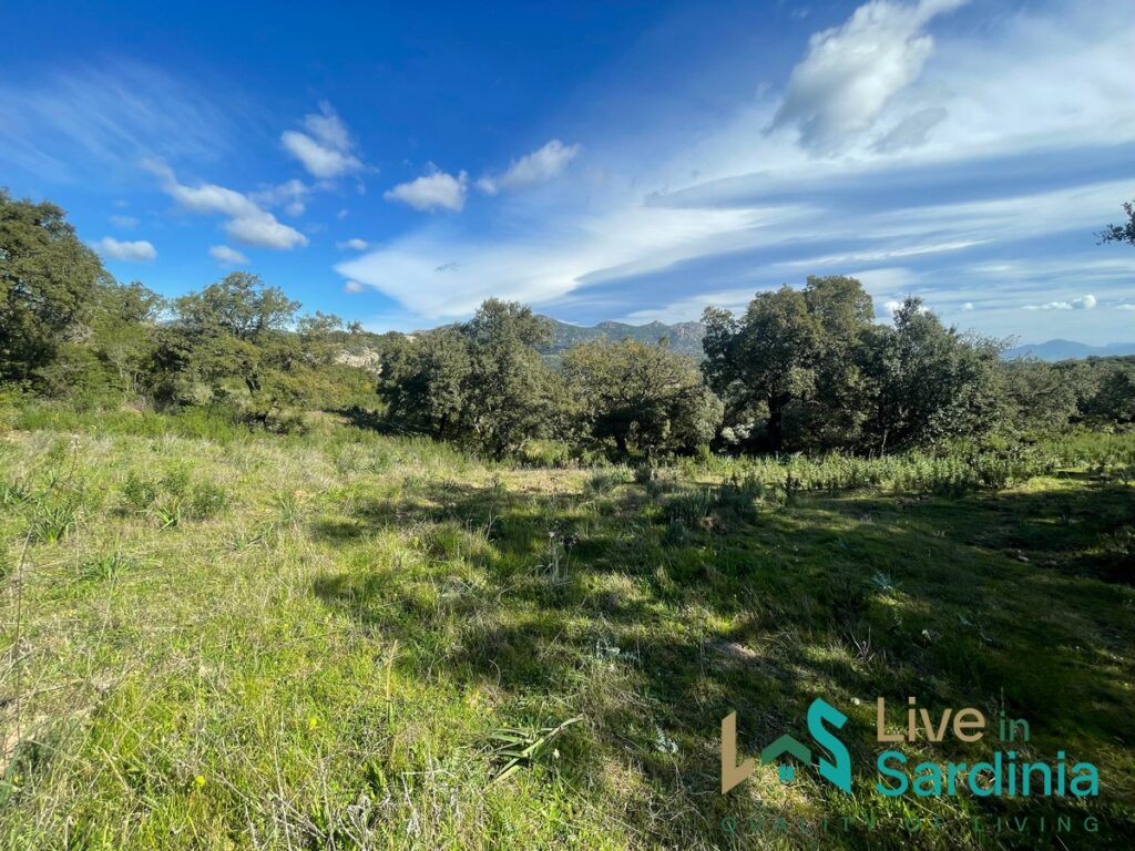 Buildable Land For Sale Olbia ref Teggja Di L’ea
