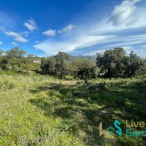 Buildable Land For Sale Olbia