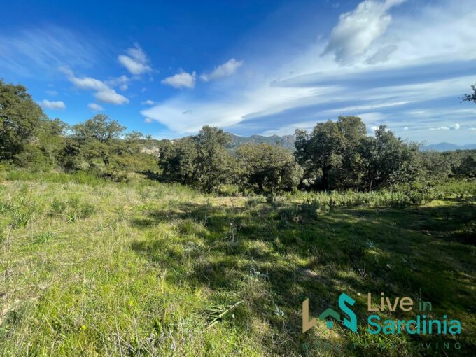 Buildable Land For Sale Olbia