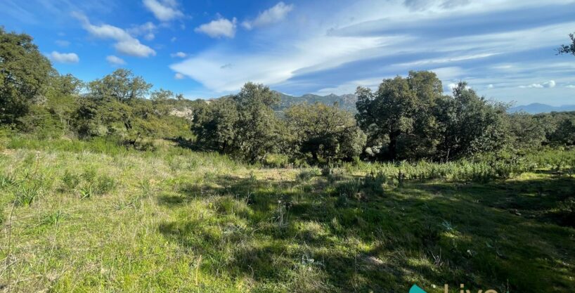 Buildable Land For Sale Olbia