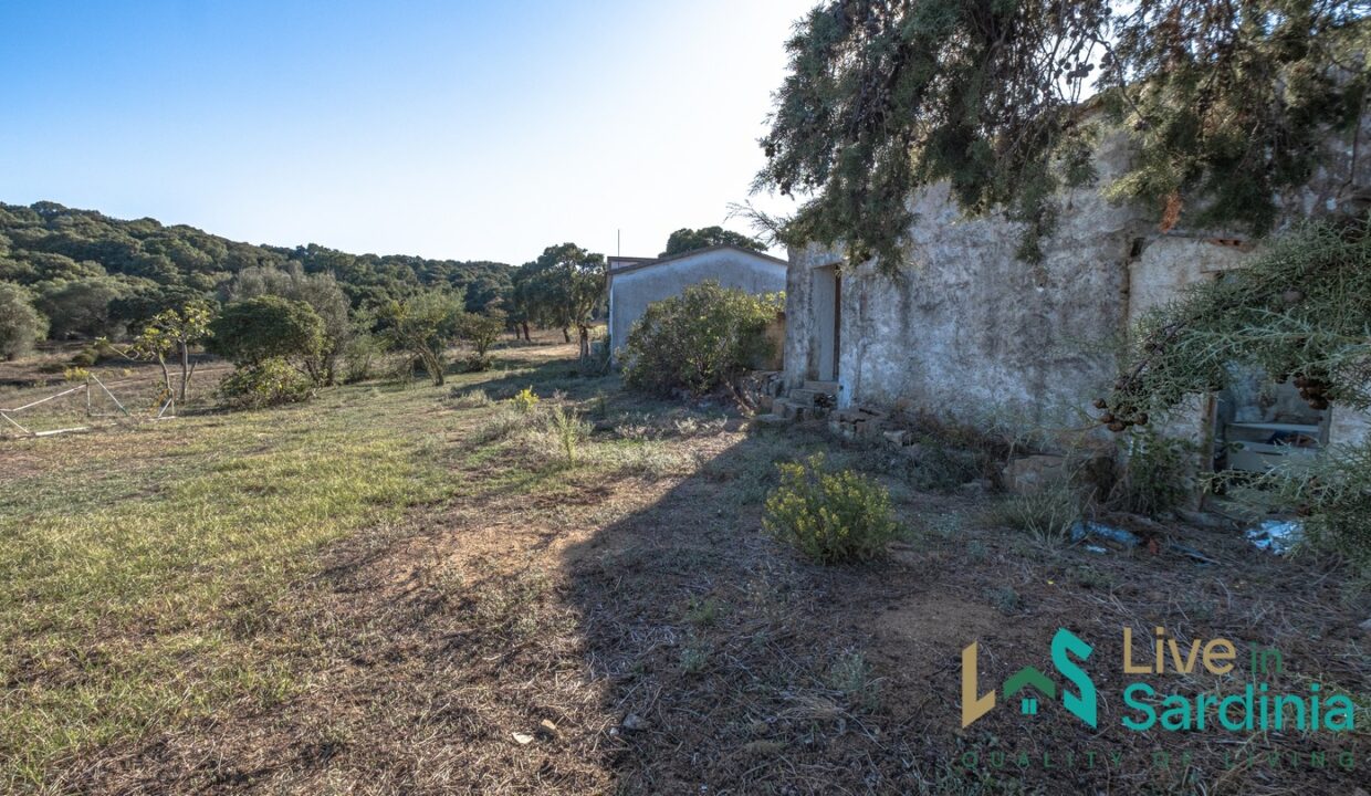 Farmhouse-For-Sale-Olbia