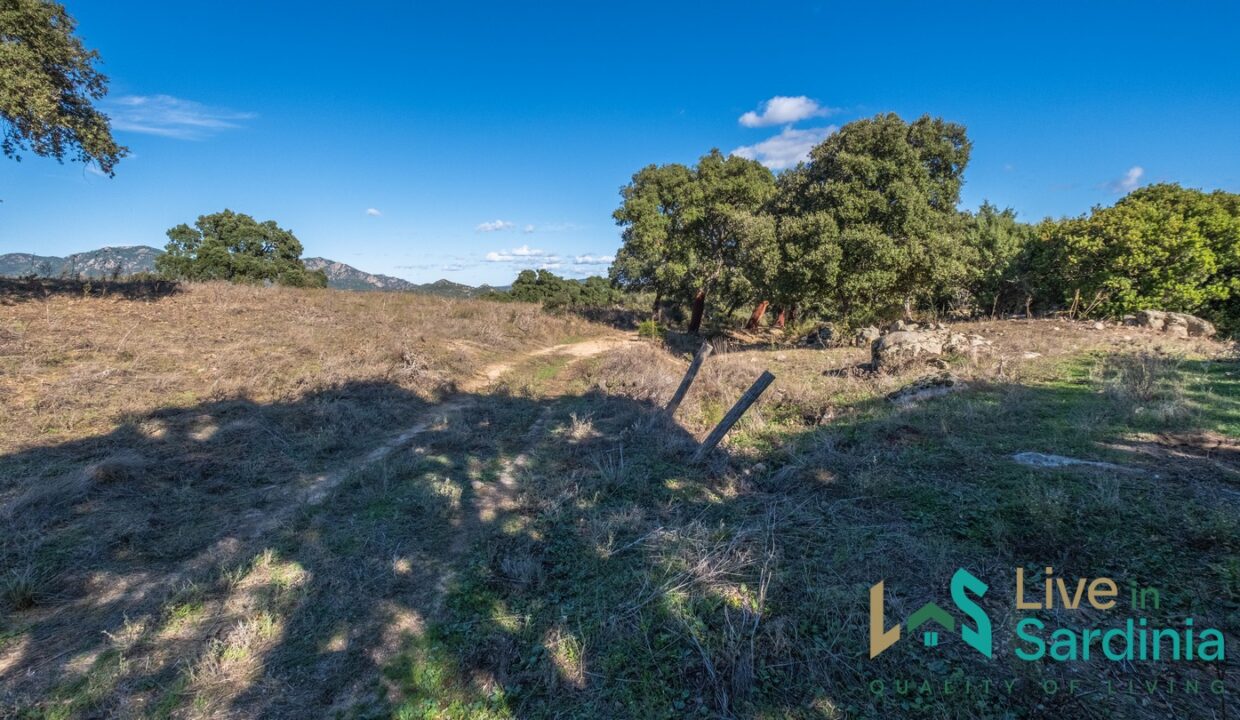 Farmhouse-For-Sale-Olbia