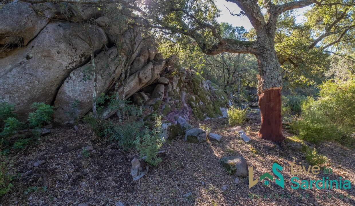 Farmhouse-For-Sale-Olbia