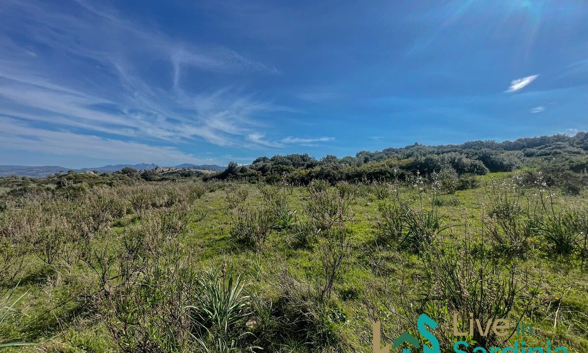 Farmhouse-For-Sale-Olbia