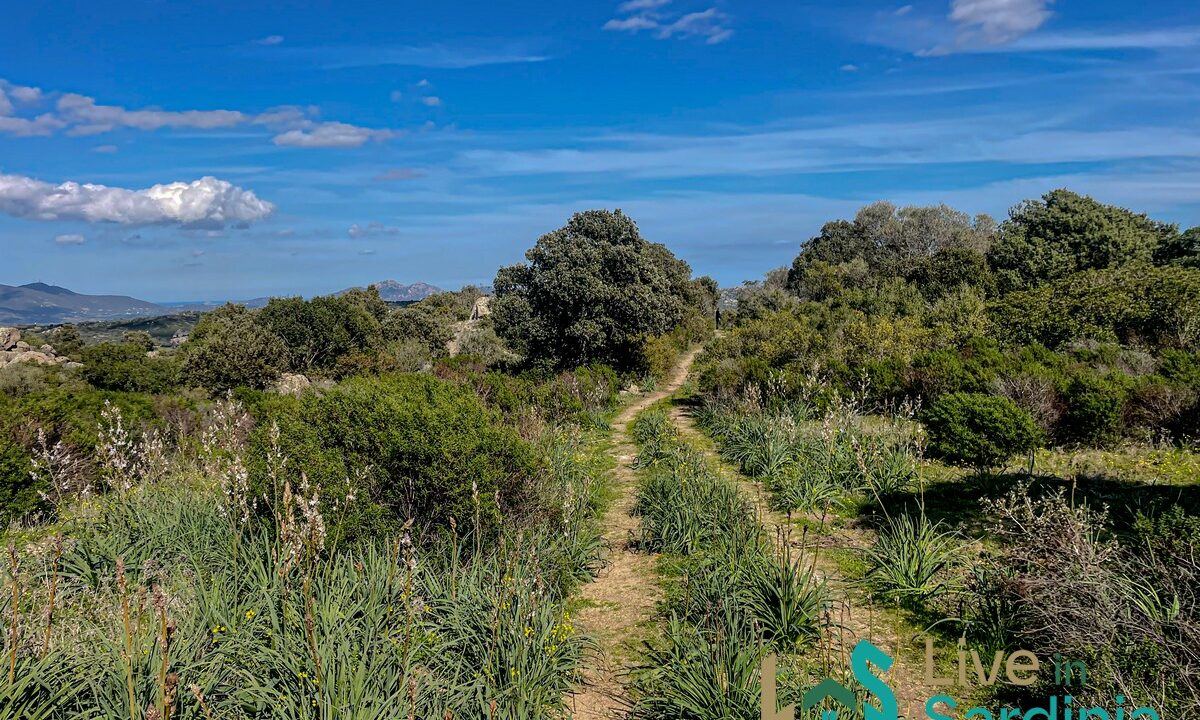 Farmhouse-For-Sale-Olbia