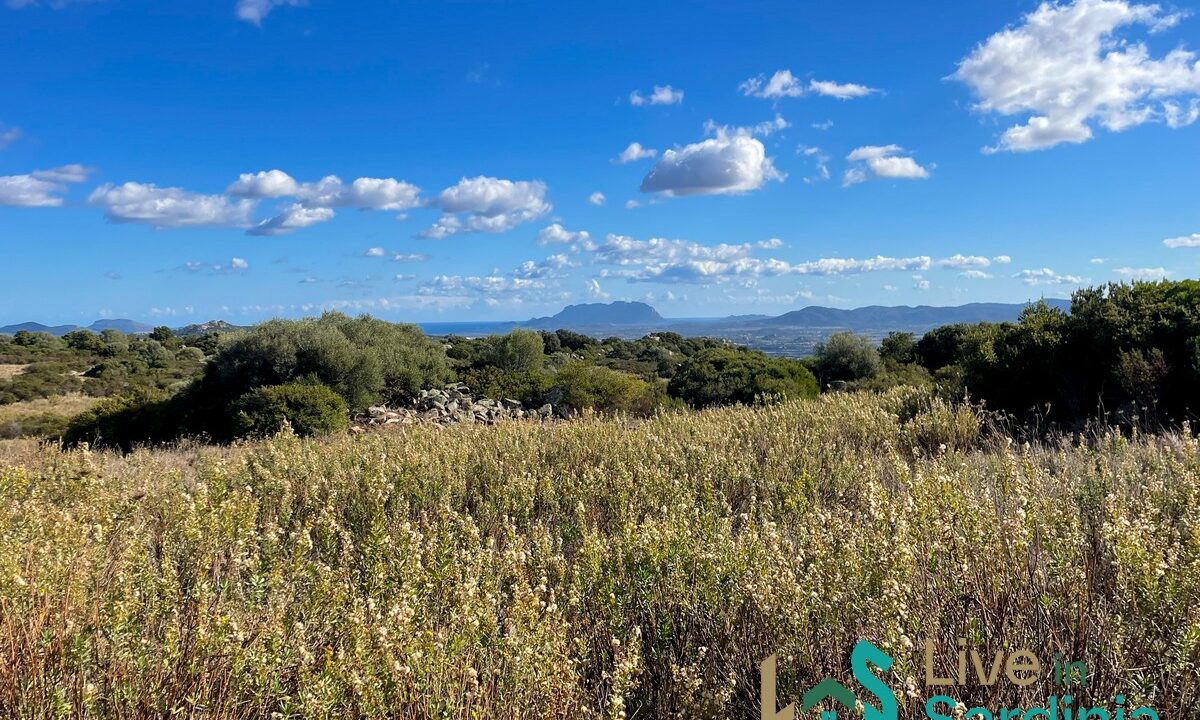Farmhouse-For-Sale-Olbia