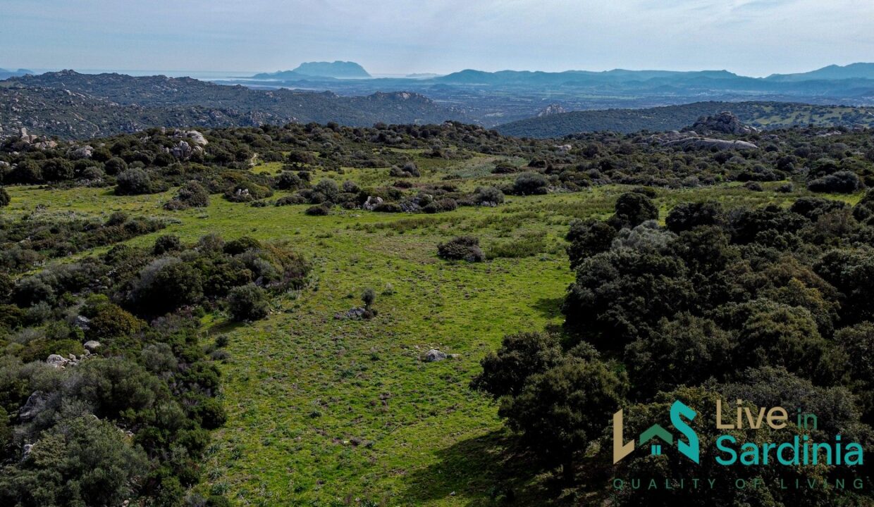 Farmhouse-For-Sale-Olbia
