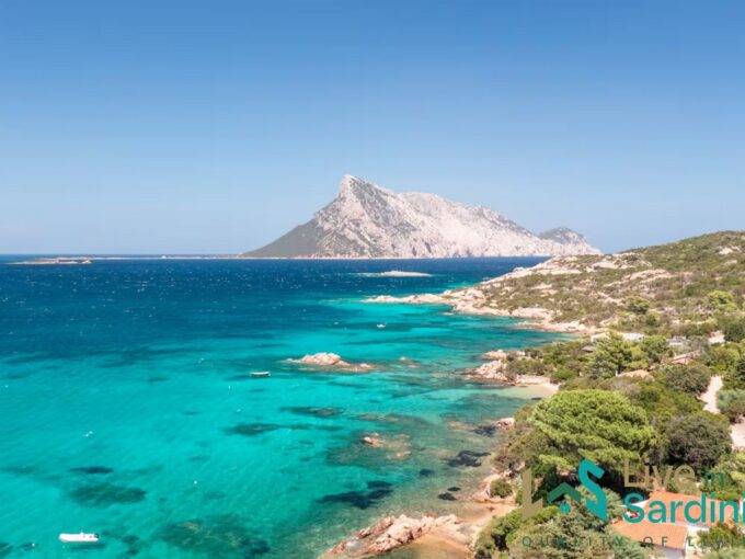 Villa For Sale Cala Girgolu Sardinia Ref Fannia