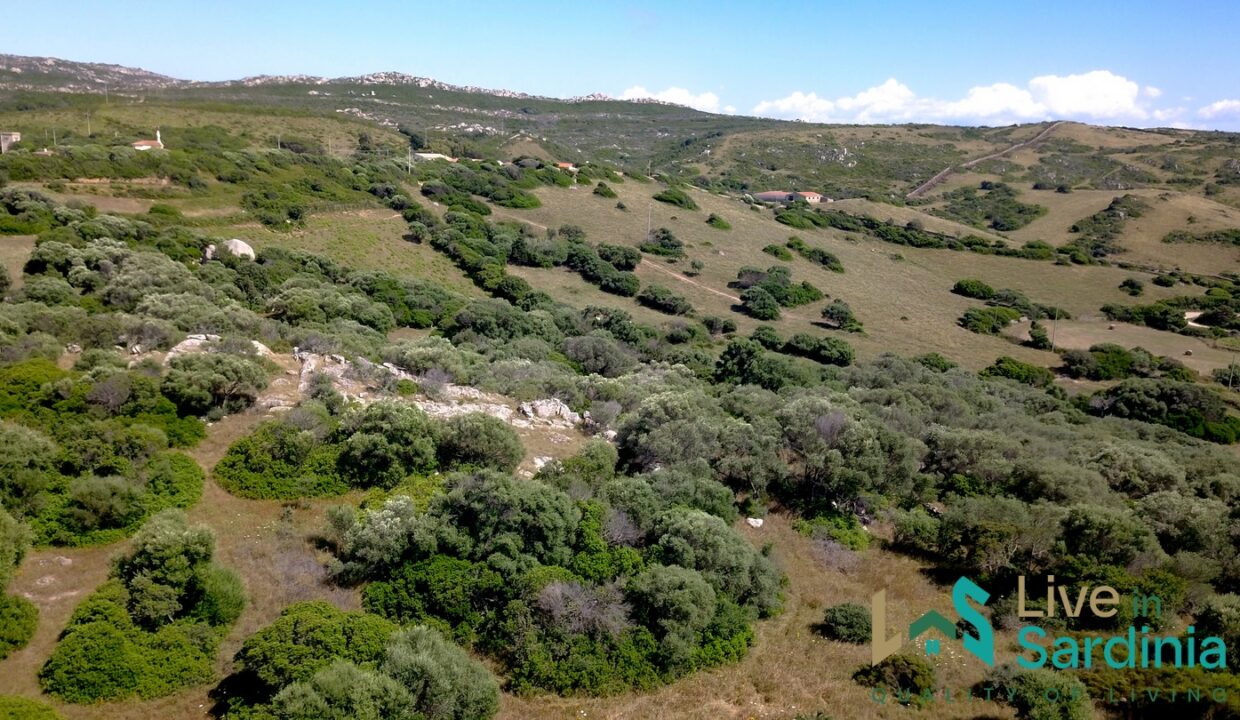 Country-Home-For-Sale-Aglientu-Northern-Sardinia