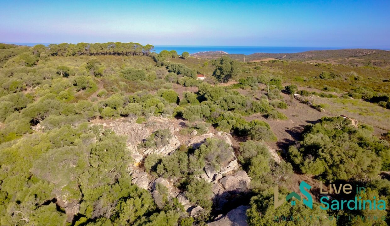 Country Home For Sale Aglientu Northern Sardinia