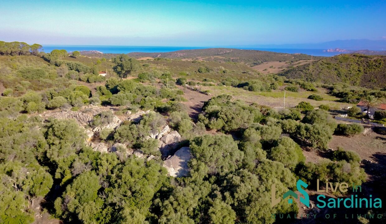 Country-Home-For-Sale-Aglientu-Northern-Sardinia