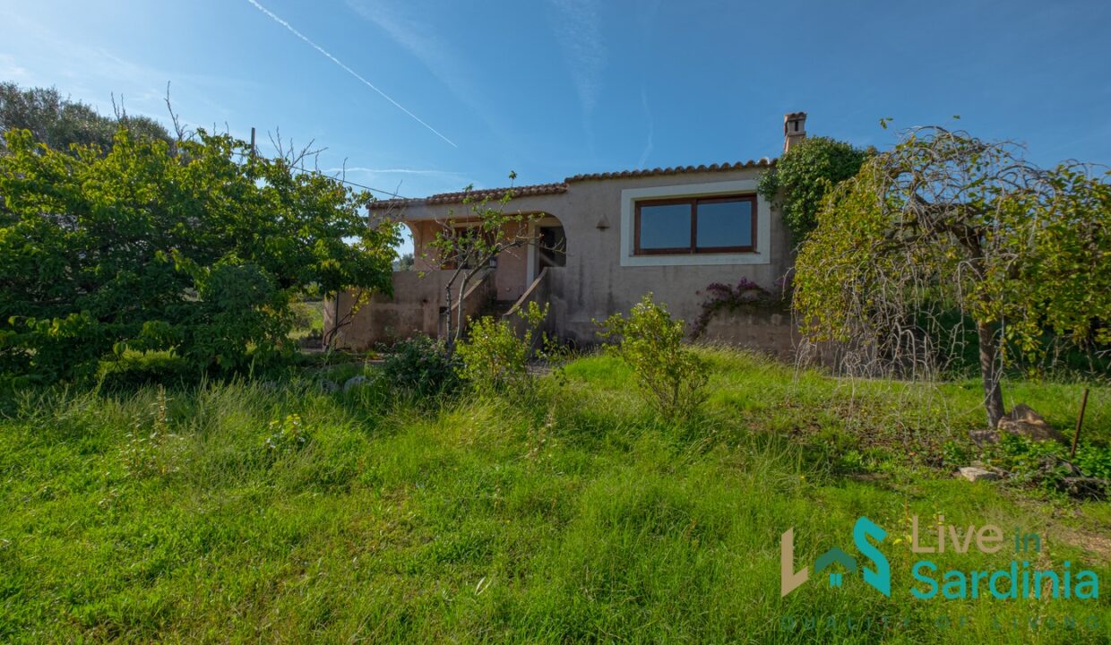 Country-Home-For-Sale-Arzachena