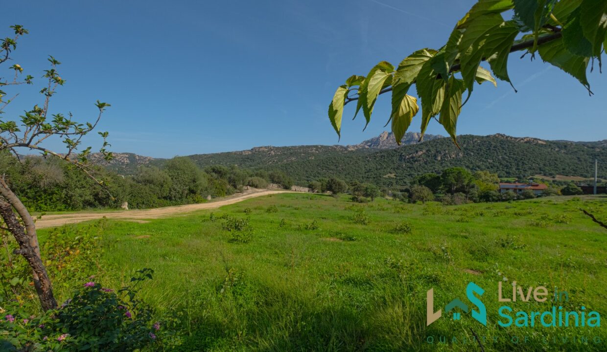 Country-Home-For-Sale-Arzachena