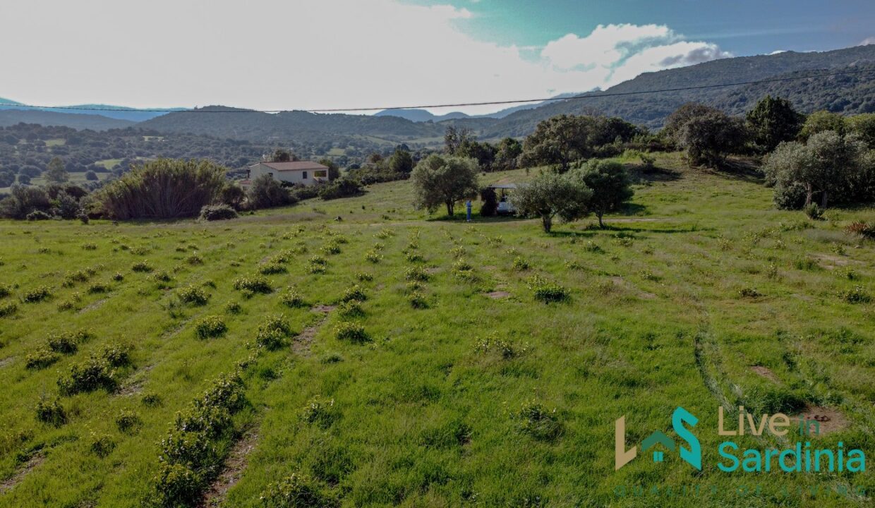 Farmhouse-For-Sale-Olbia