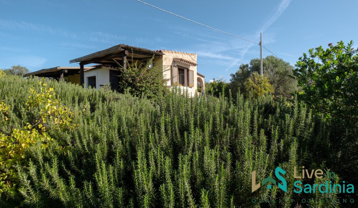Country-Home-For-Sale-Arzachena
