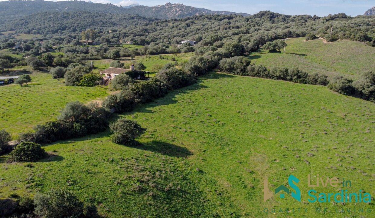 Country-Home-For-Sale-Arzachena