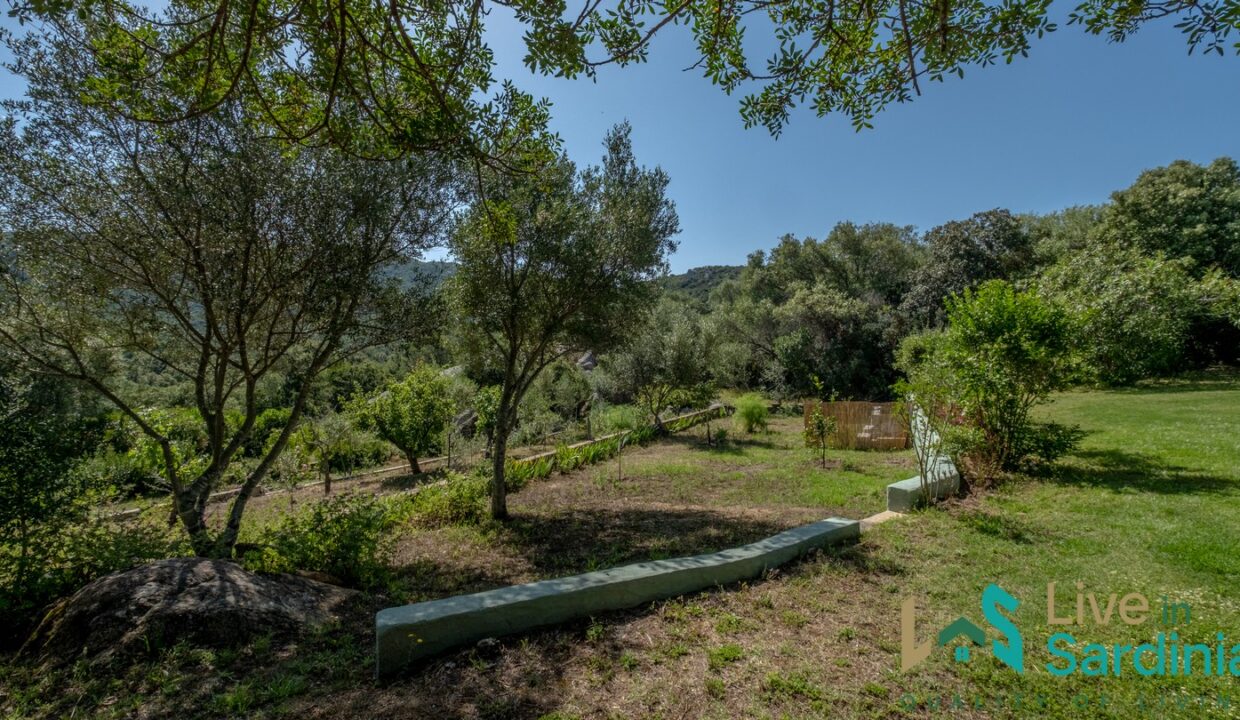 Country-Home-For-Sale-Costa-Smeralda-Sardinia (34)