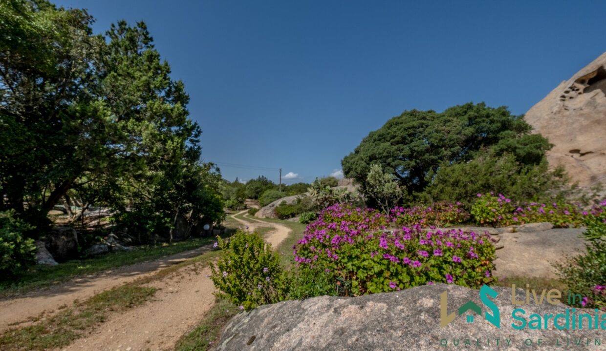 Country-Home-For-Sale-Costa-Smeralda-Sardinia (37)