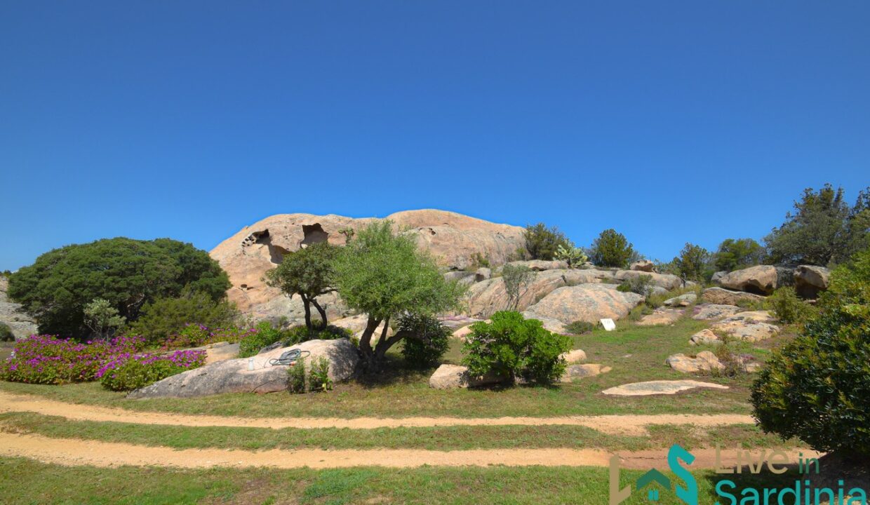 Country-Home-For-Sale-Costa-Smeralda-Sardinia (54)
