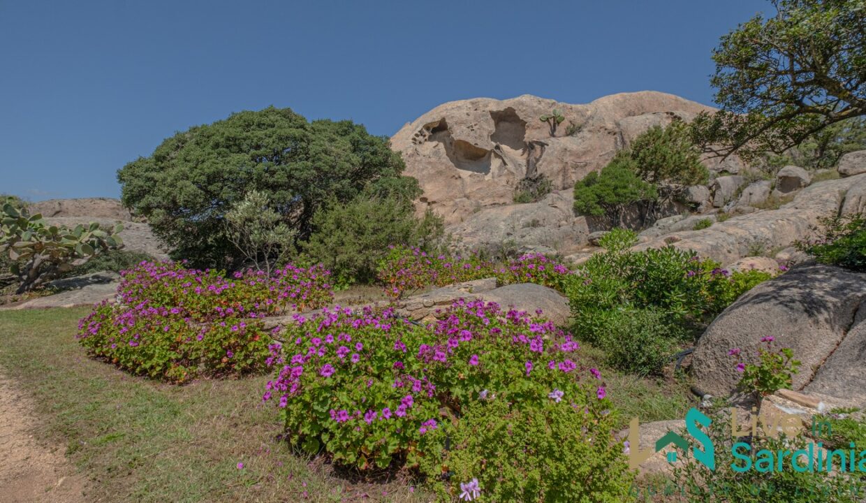 Country-Home-For-Sale-Costa-Smeralda-Sardinia
