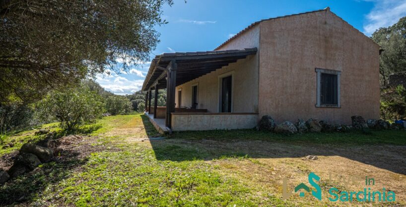 Country Home For Sale Nearby Porto Cervo Sardinia