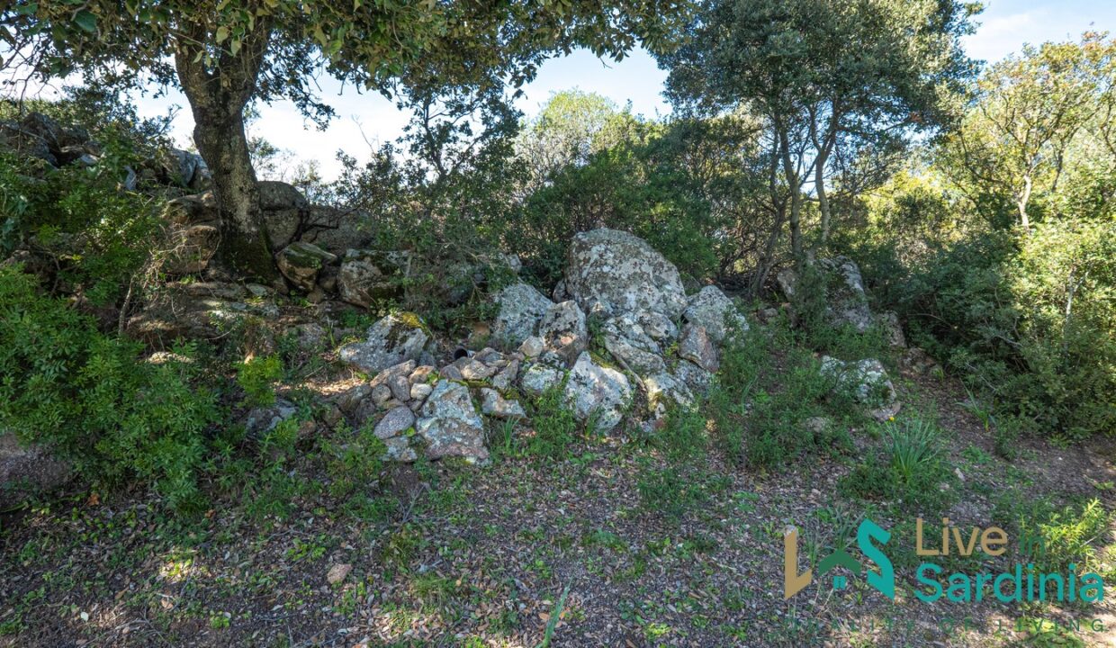 Country-Home-For-Sale-Nearby-Porto-Cervo-Sardinia