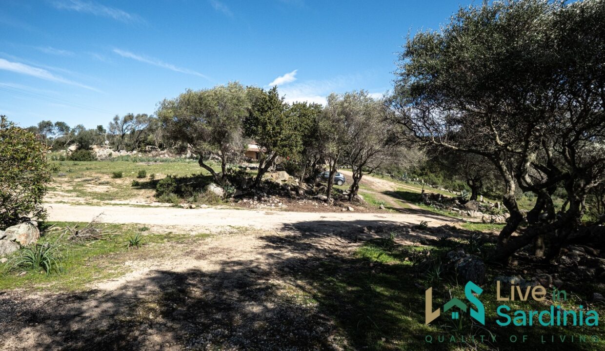 Country-Home-For-Sale-Nearby-Porto-Cervo-Sardinia