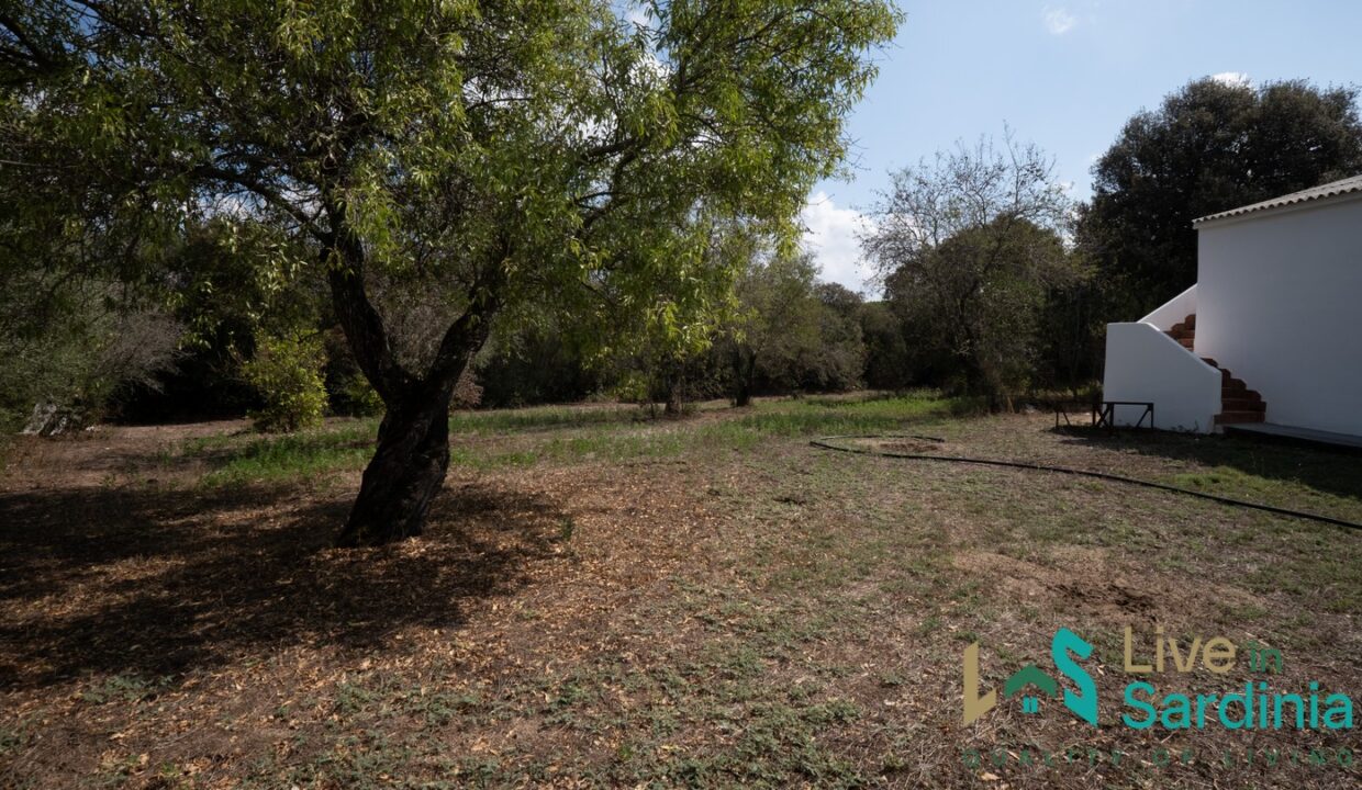 Country-Home-For-Sale-Olbia-Sardinia