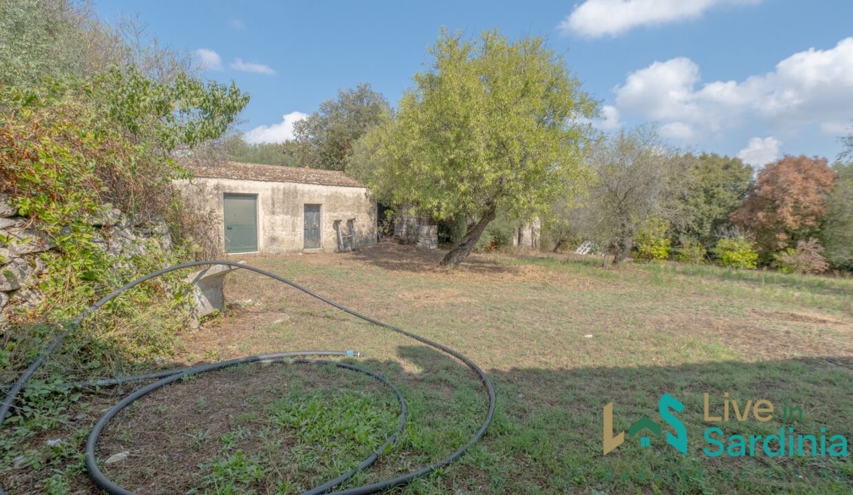 Country-Home-For-Sale-Olbia-Sardinia