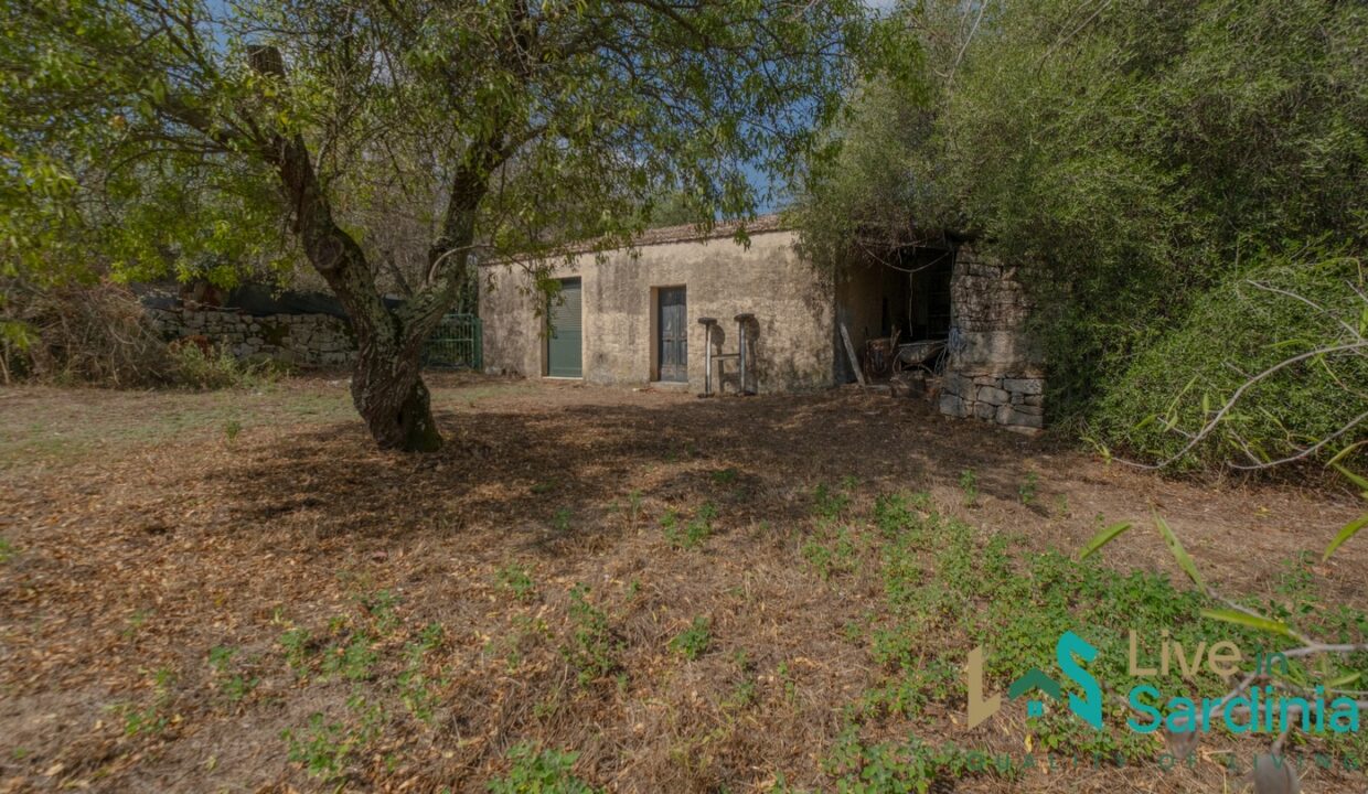 Country-Home-For-Sale-Olbia-Sardinia