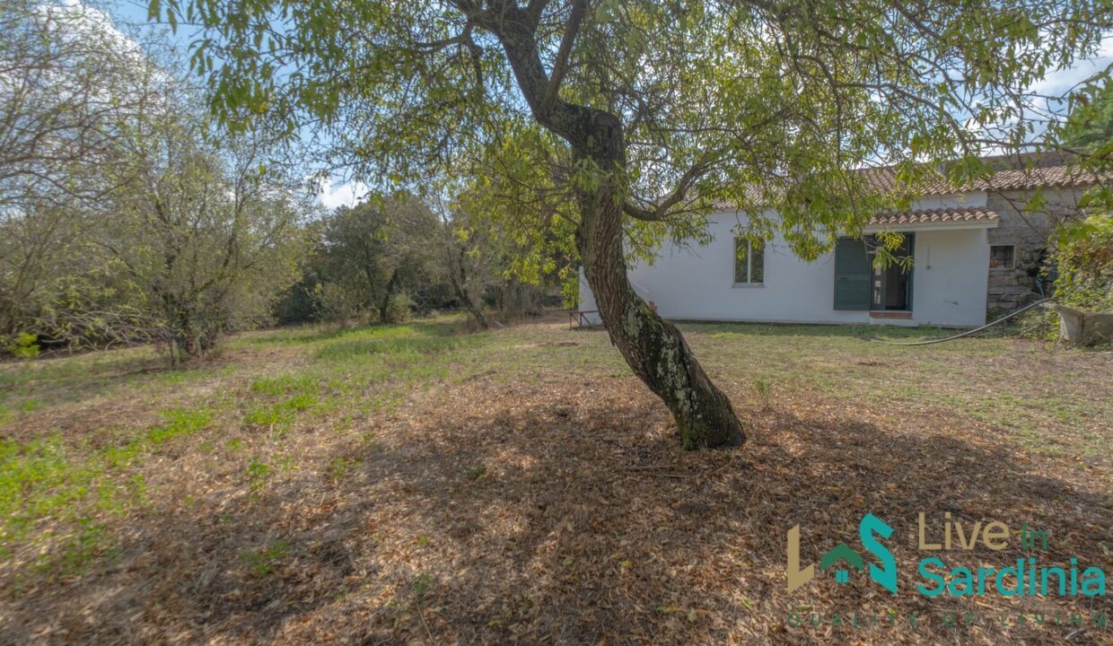 Country-Home-For-Sale-Olbia-Sardinia