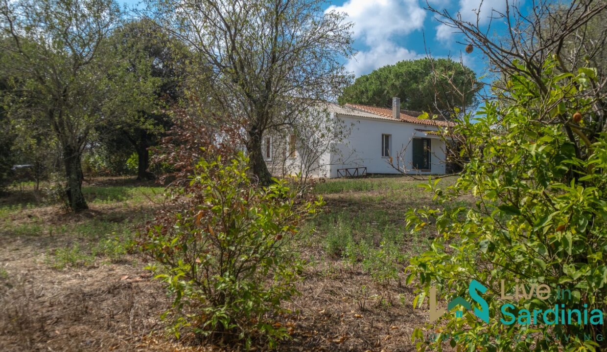 Country-Home-For-Sale-Olbia-Sardinia