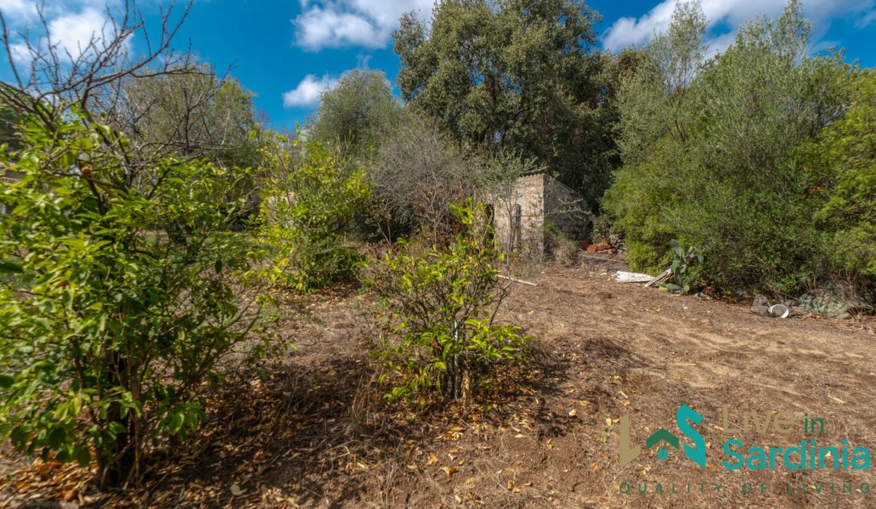 Country-Home-For-Sale-Olbia-Sardinia
