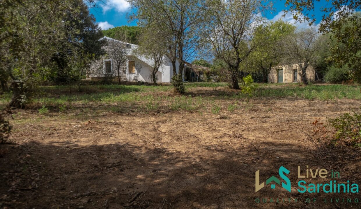 Country-Home-For-Sale-Olbia-Sardinia