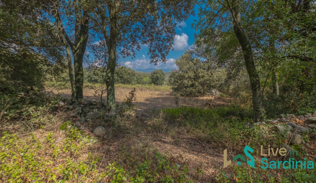 Country-Home-For-Sale-Olbia-Sardinia