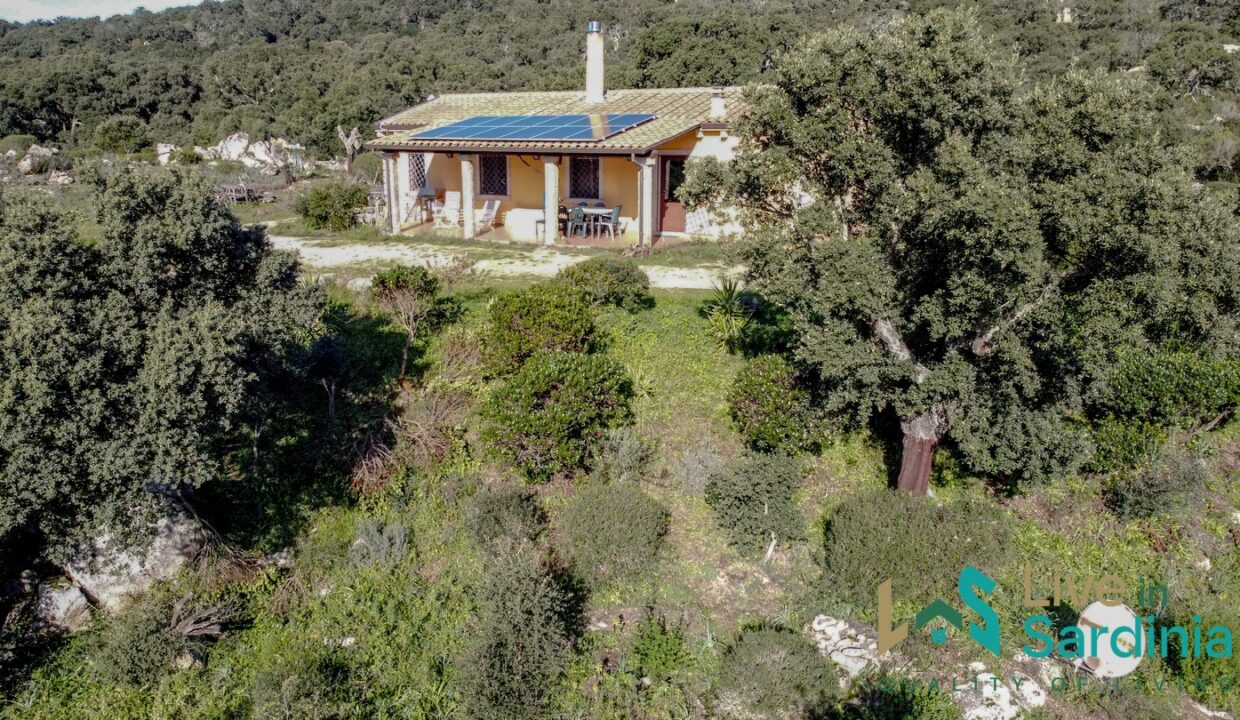Country-House-for-Sale-in-Gallura