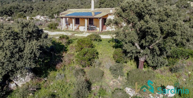 Country House for Sale in Gallura