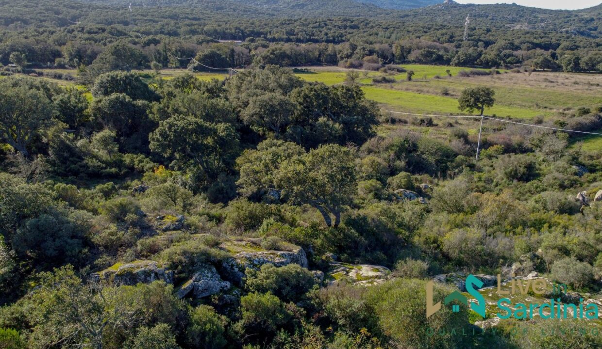 Country-House-for-Sale-in-Gallura