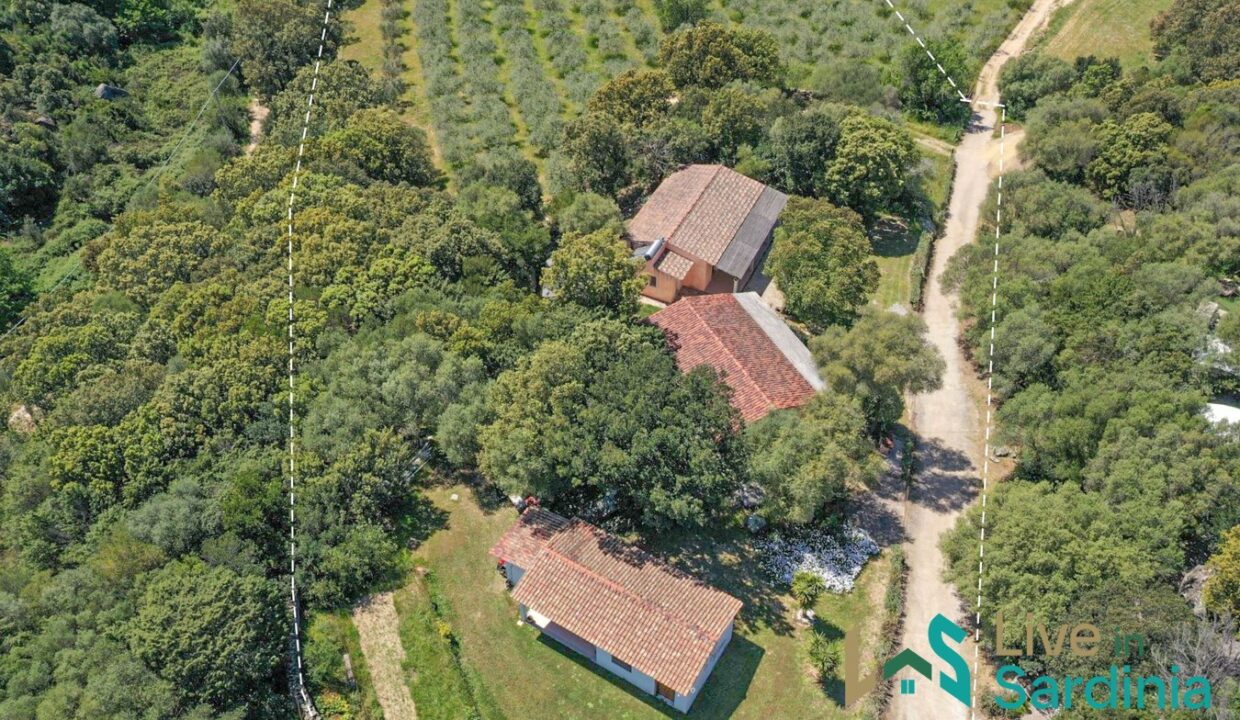 Country-Houses-for-Sale-in-Loiri-Porto-San-Paolo