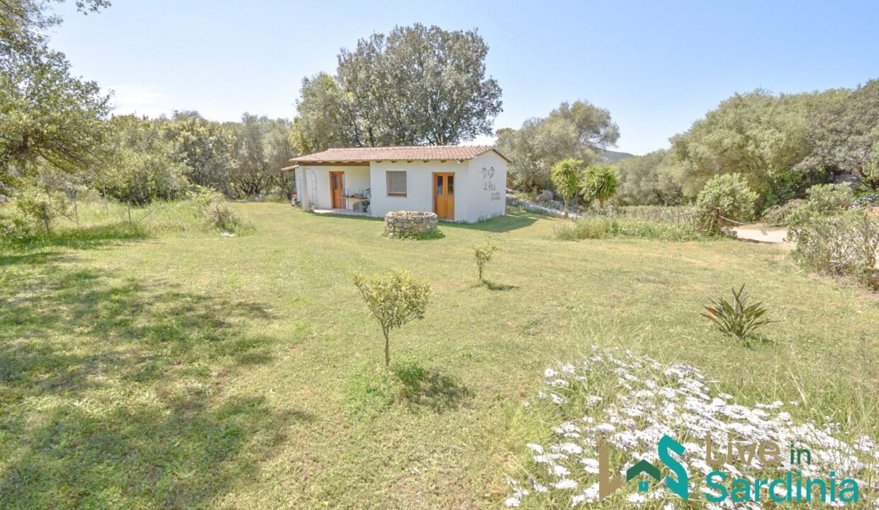Property-for-Sale-in-Loiri-Porto-San-Paolo