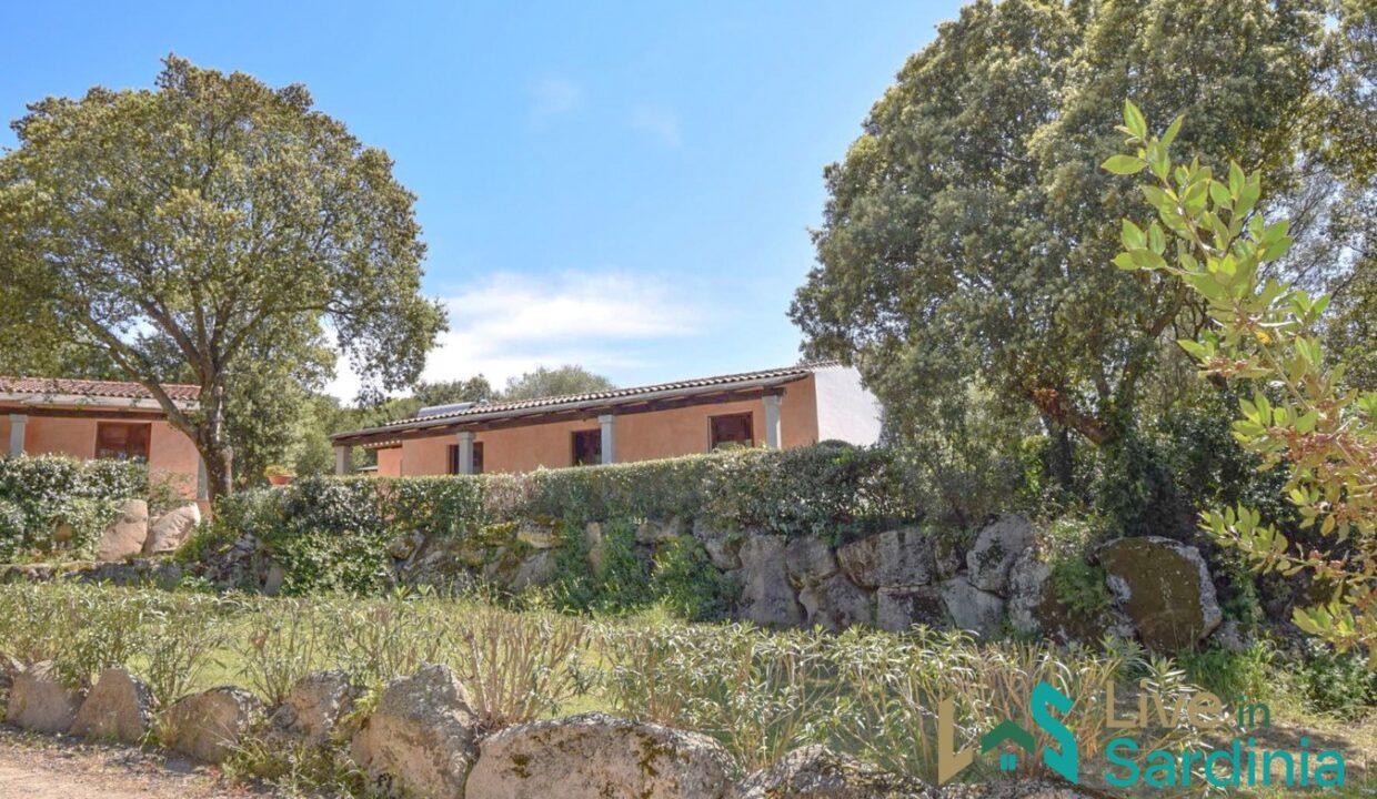Property-for-Sale-in-Loiri-Porto-San-Paolo