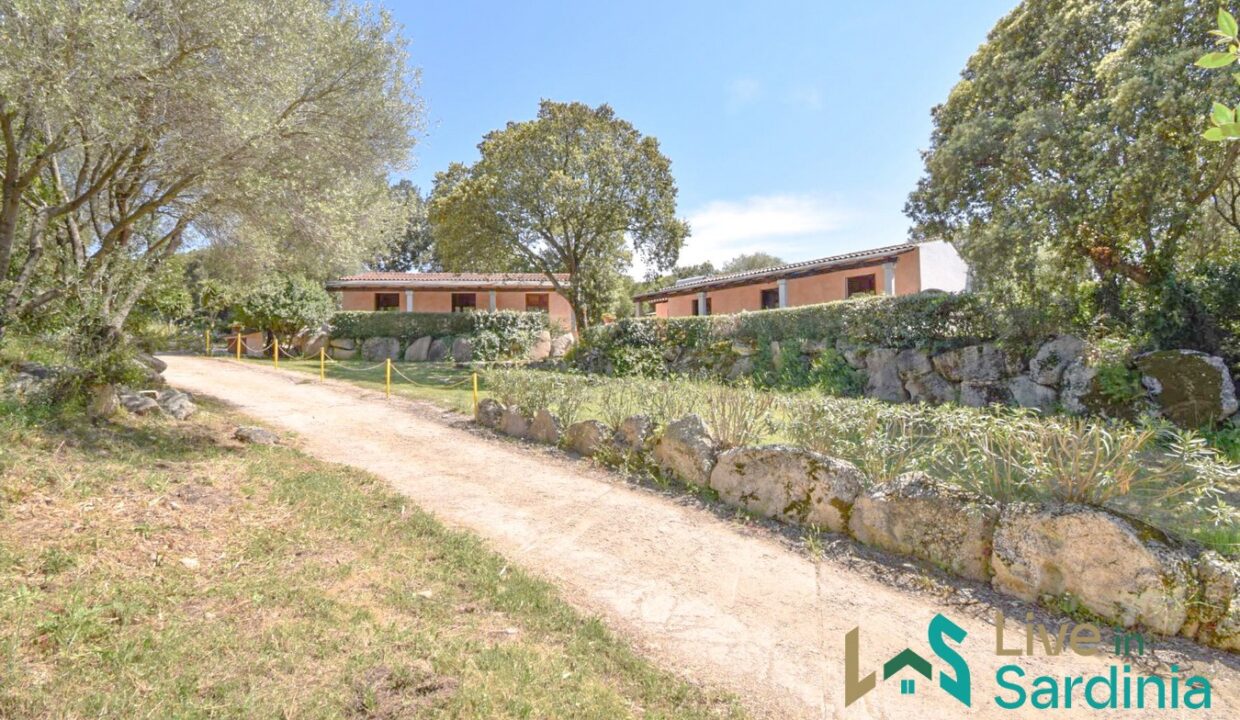 Property-for-Sale-in-Loiri-Porto-San-Paolo