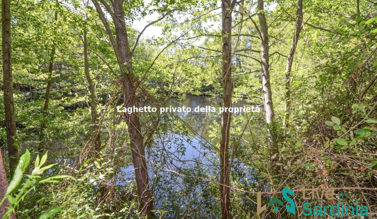 Property-for-Sale-in-Loiri-Porto-San-Paolo