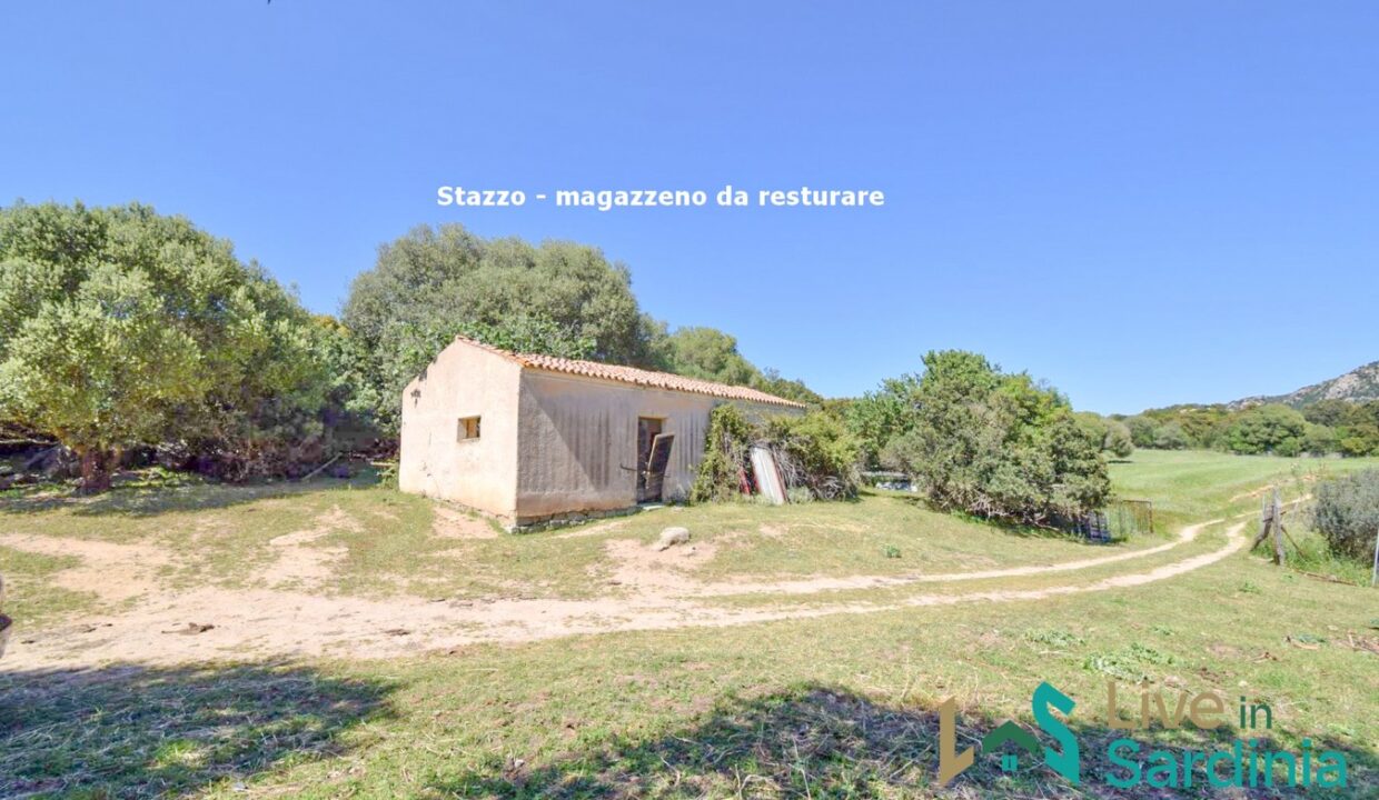 Property-for-Sale-in-Loiri-Porto-San-Paolo