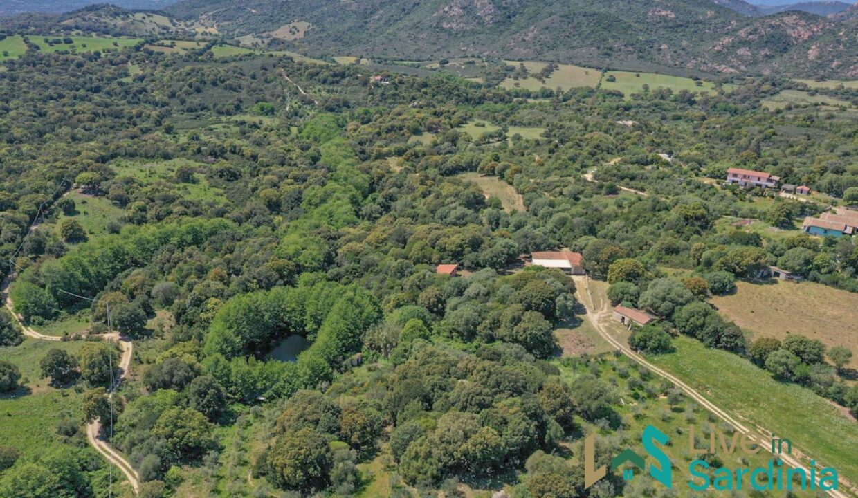 Property-for-Sale-in-Loiri-Porto-San-Paolo