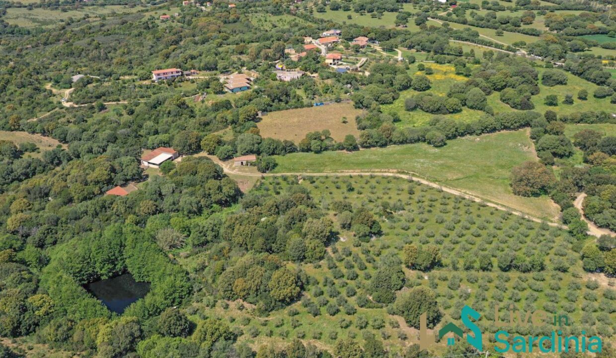 Country-Houses-for-Sale-in-Loiri-Porto-San-Paolo