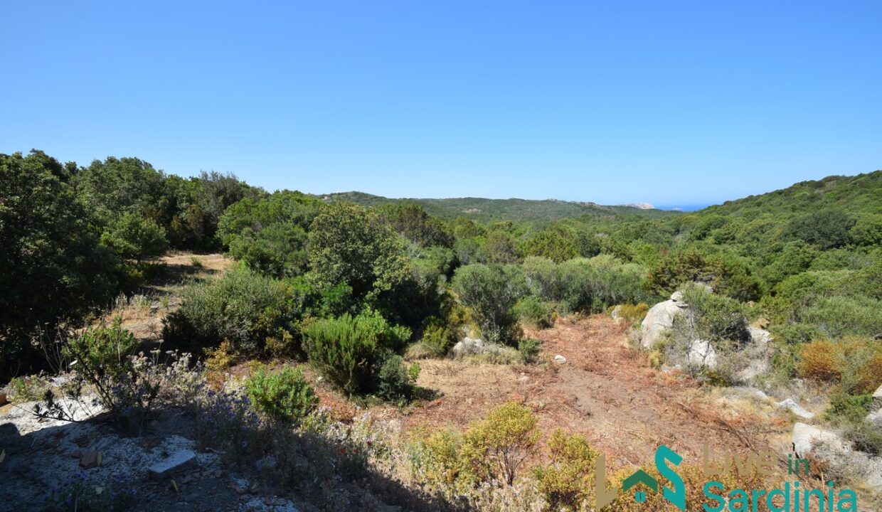 Unfinished-Villas-For-Sale-Aglientu-Near-Santa-Teresa-di-Gallura