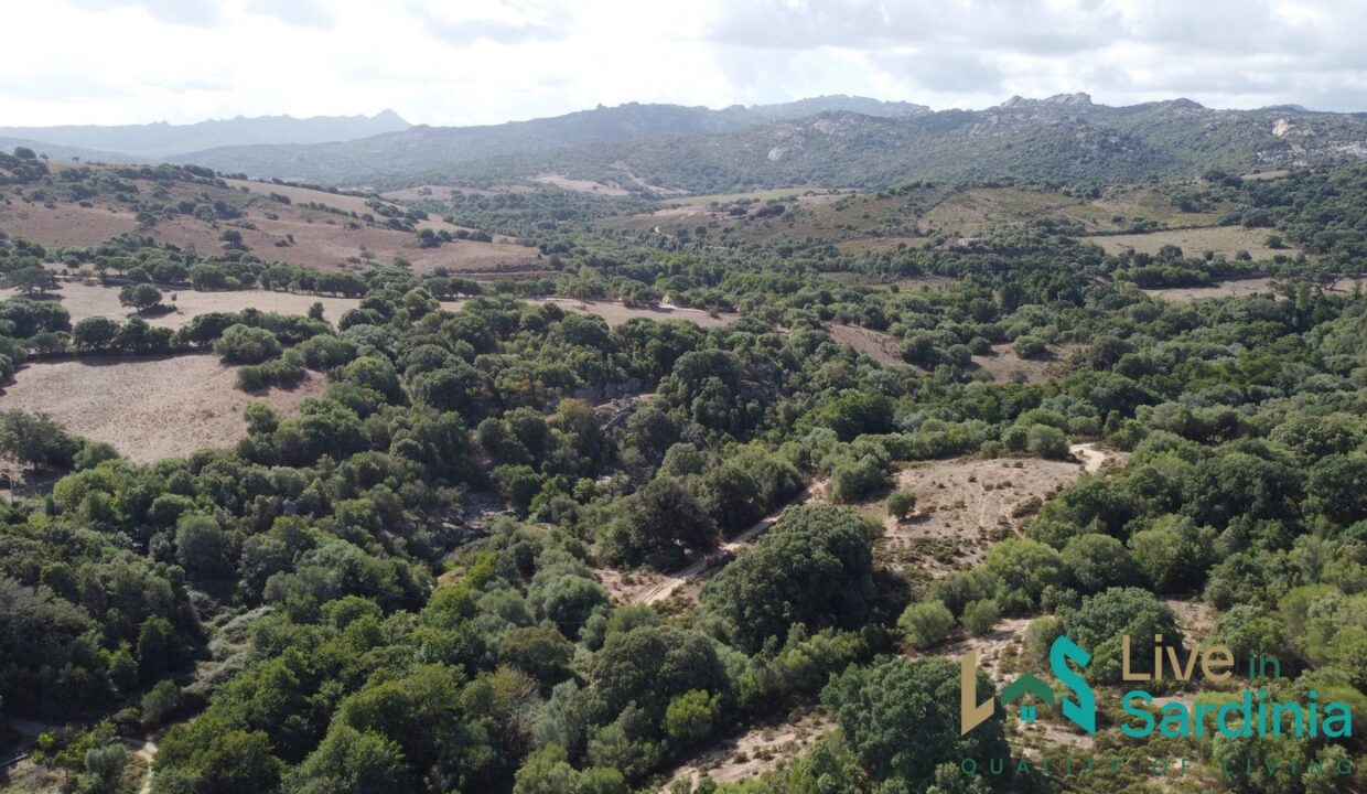 Stazzo-For-Sale-Gallura