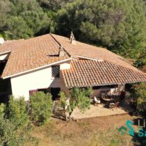 Stazzo For Sale San Teodoro Sardinia Ref. Villa Margherita